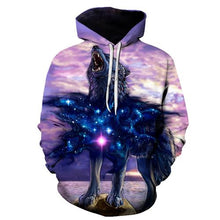 Load image into Gallery viewer, Hoodies-Sweatshirts Women/Men